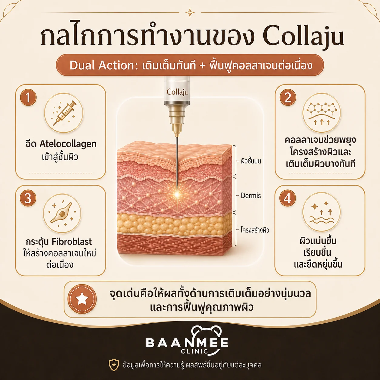 กลไกการทำงานของ Collaju Dual Action เติมเต็มและกระตุ้น Fibroblast